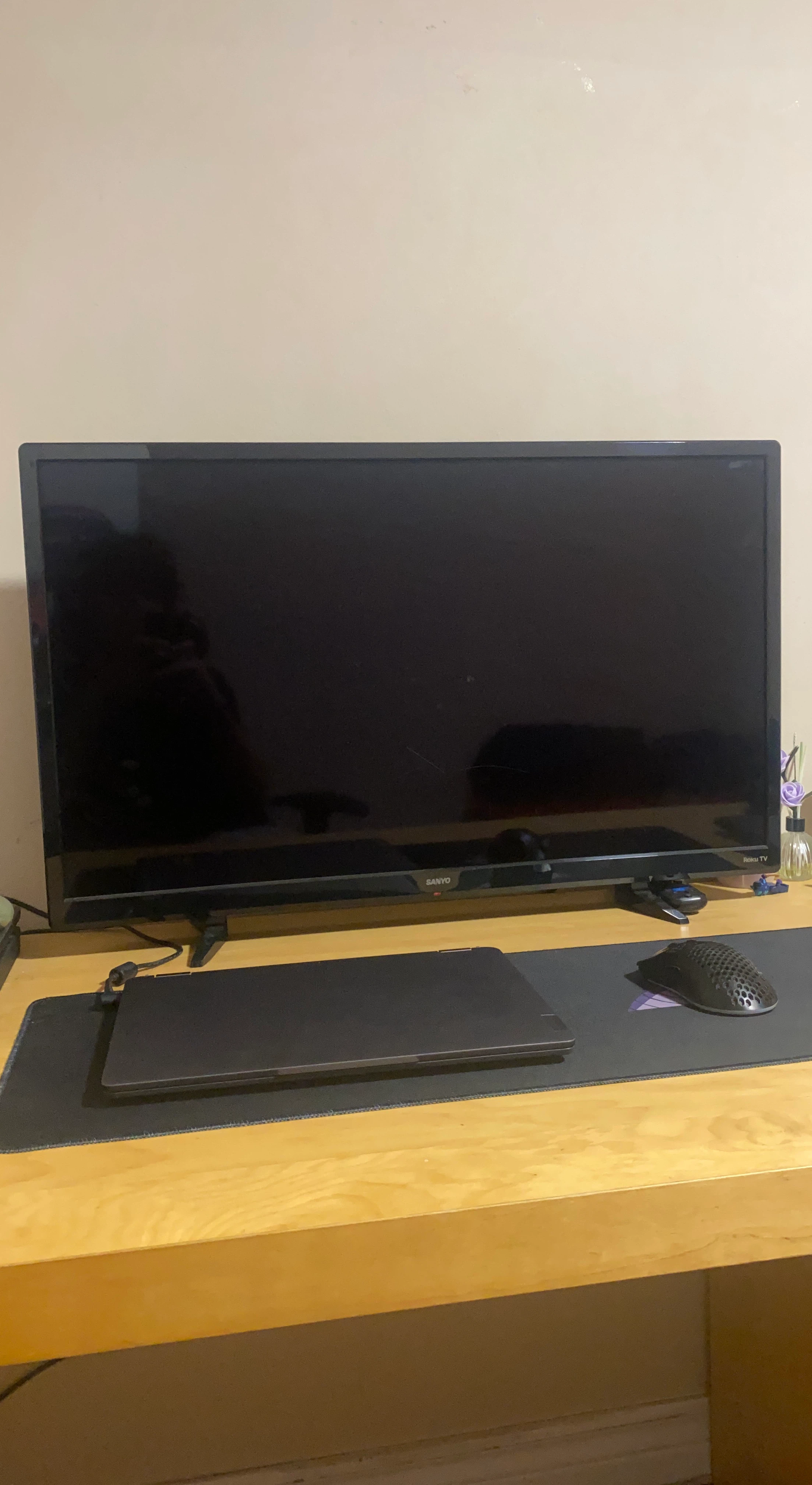 Sanyo Roku TV