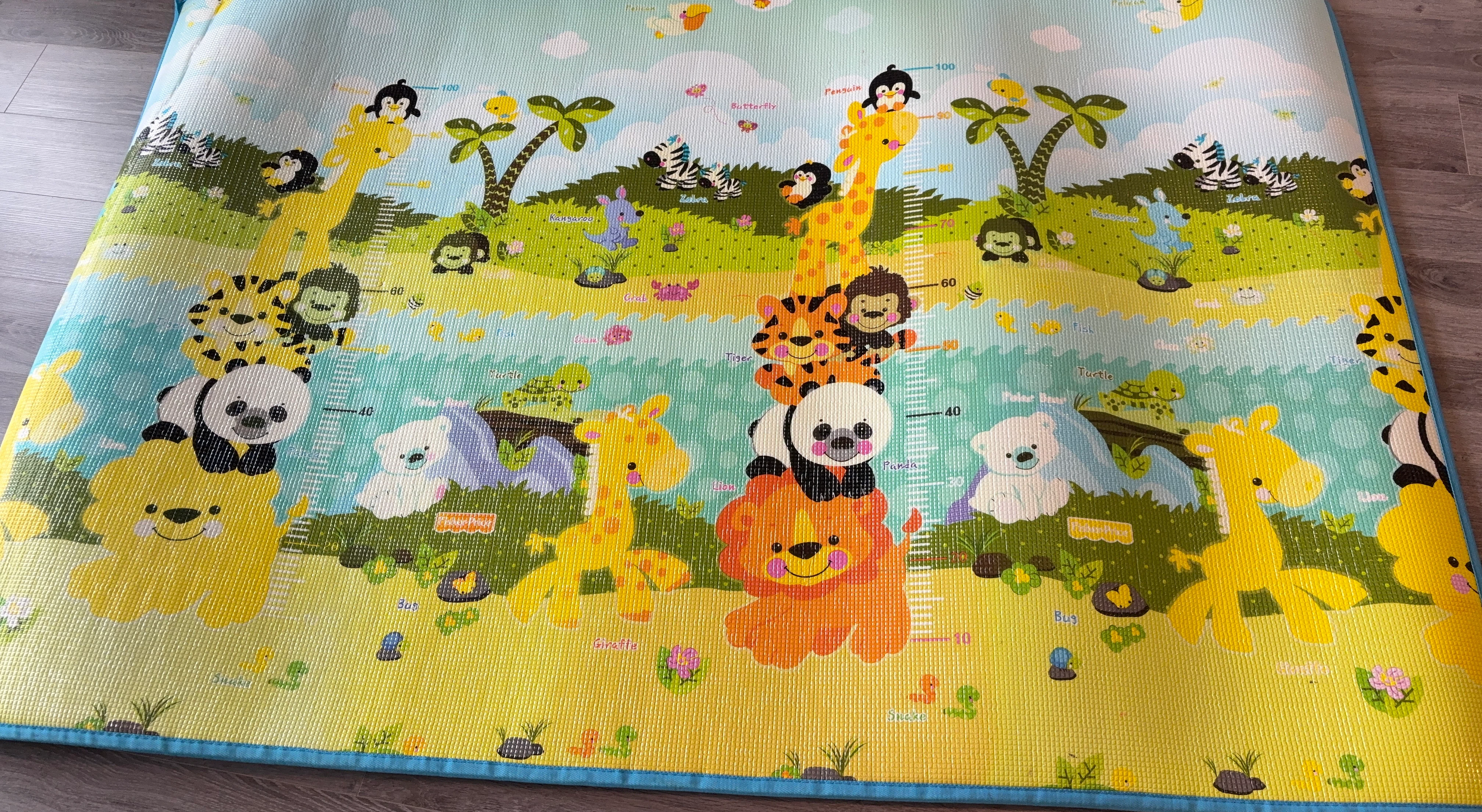 Baby Play Mat