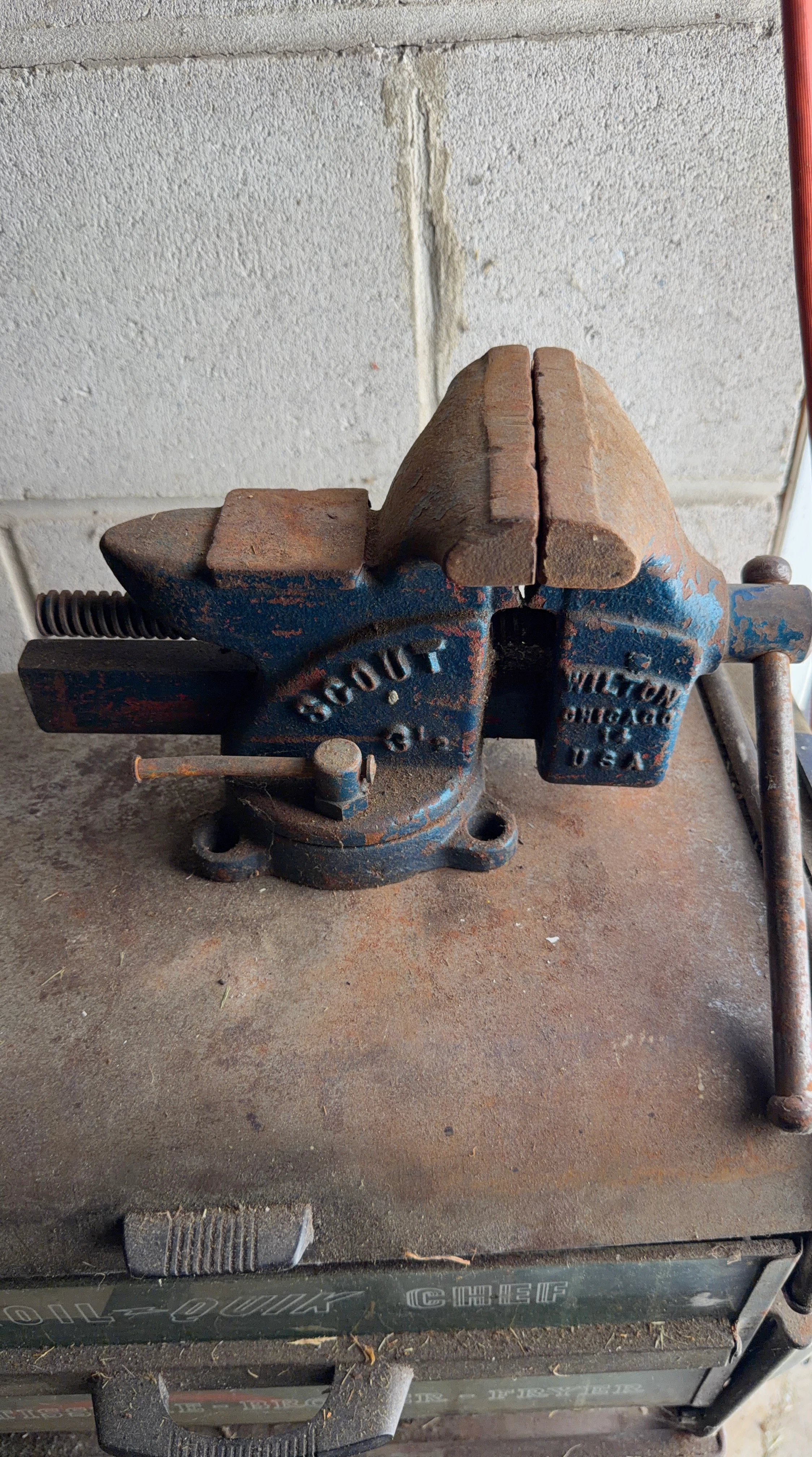 Wilton Scout 3-1/4 Bench Vise