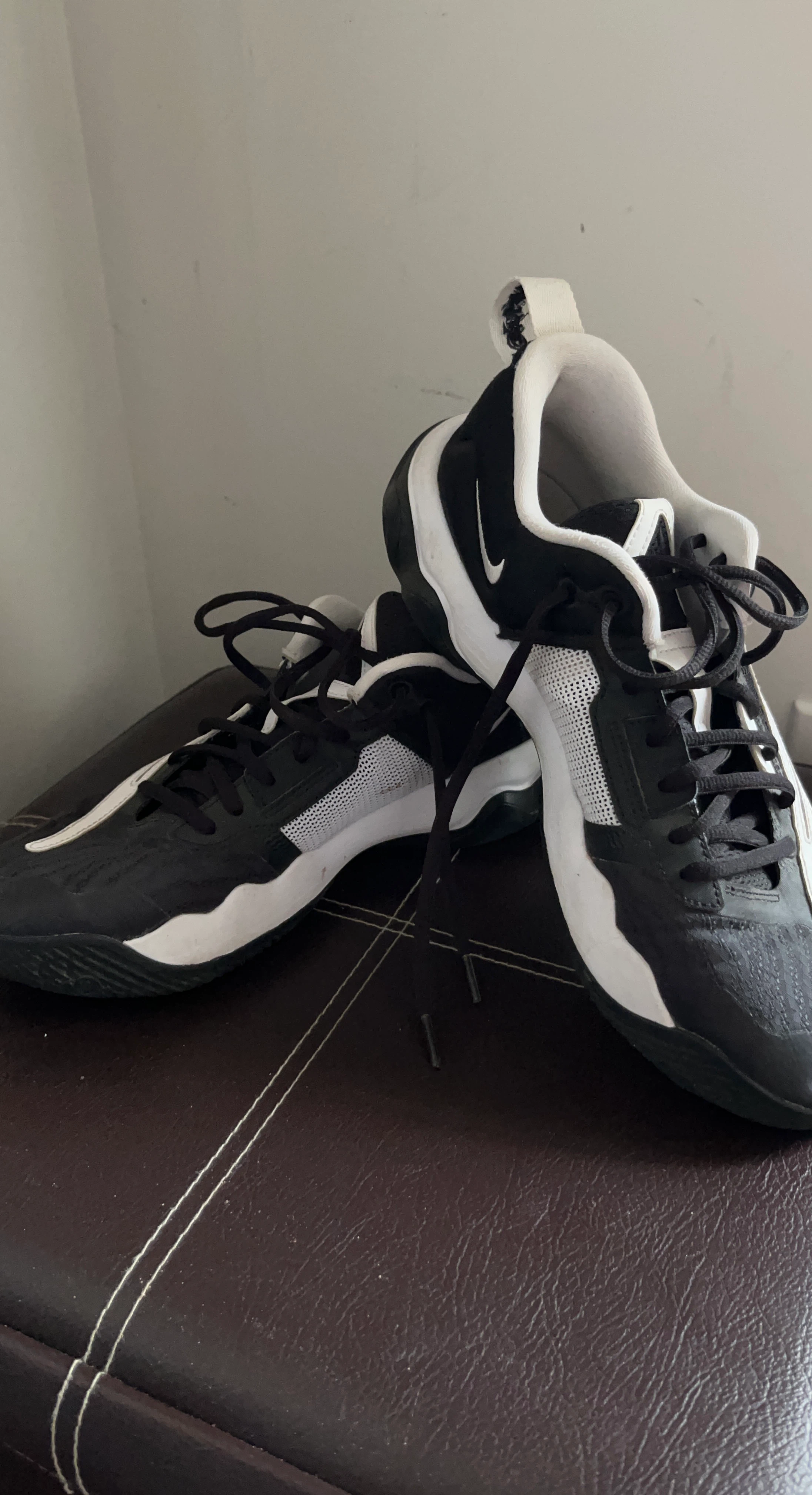 Nike size 9 Giannis shoes