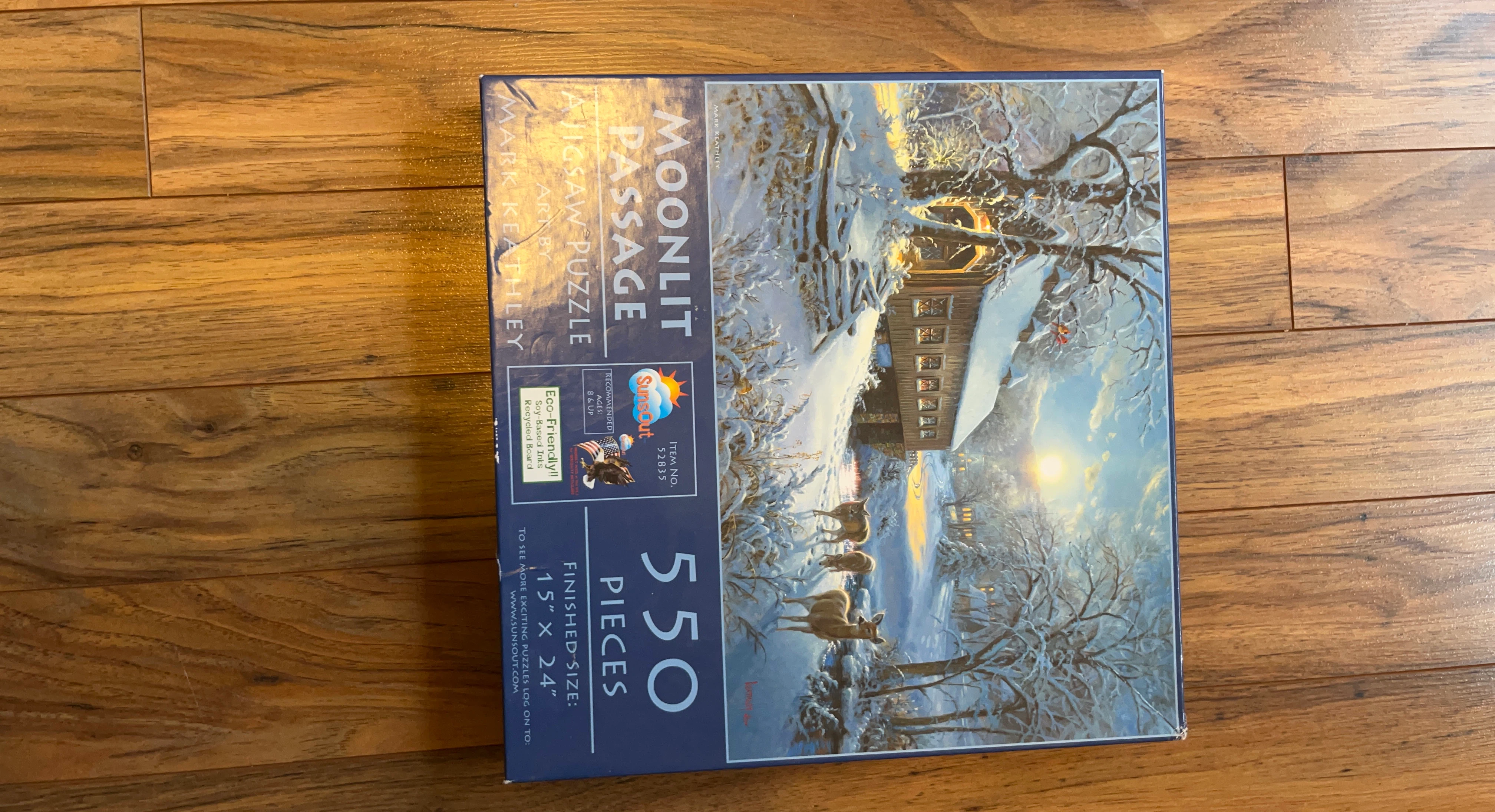 SunsOut Moonlit Passage Jigsaw Puzzle 550 Pieces