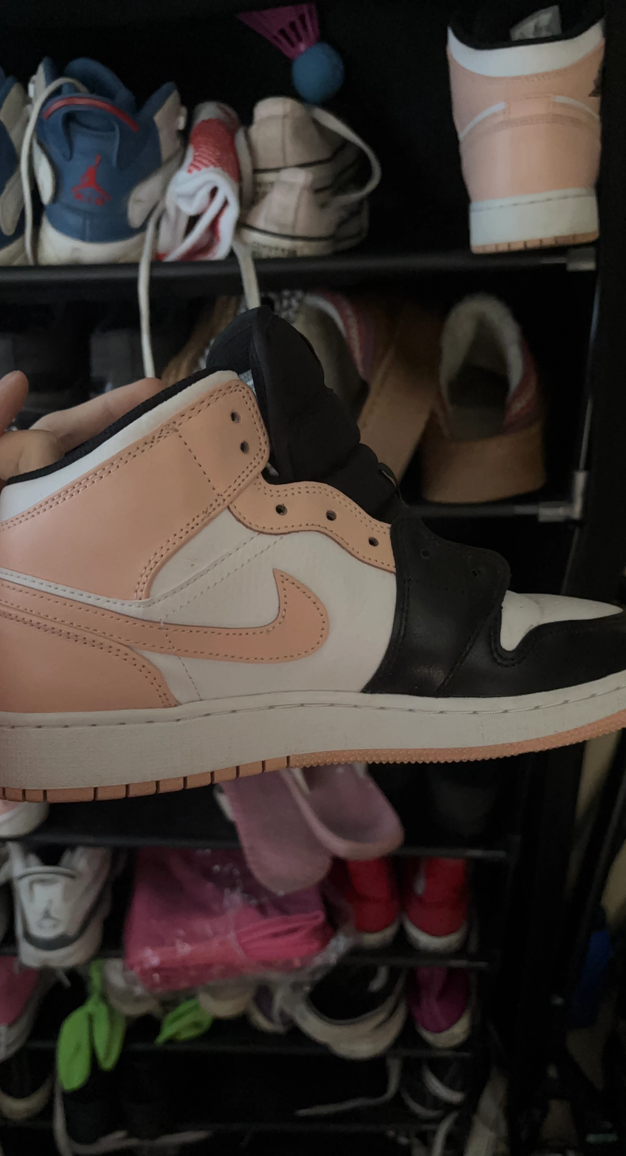 Air Jordan 1 Mid Crimson Tint