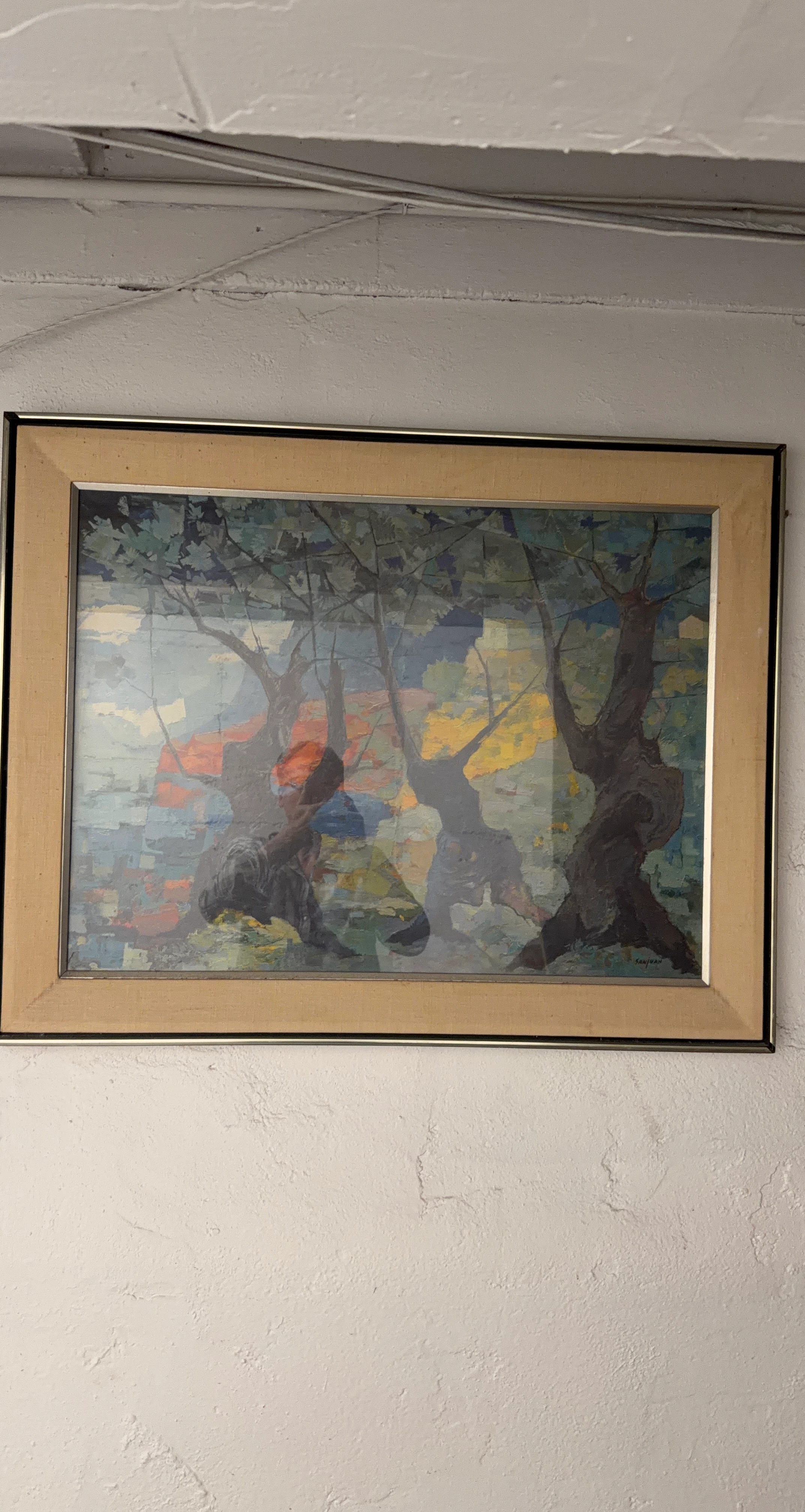 Sanjuan Landscape Framed Print