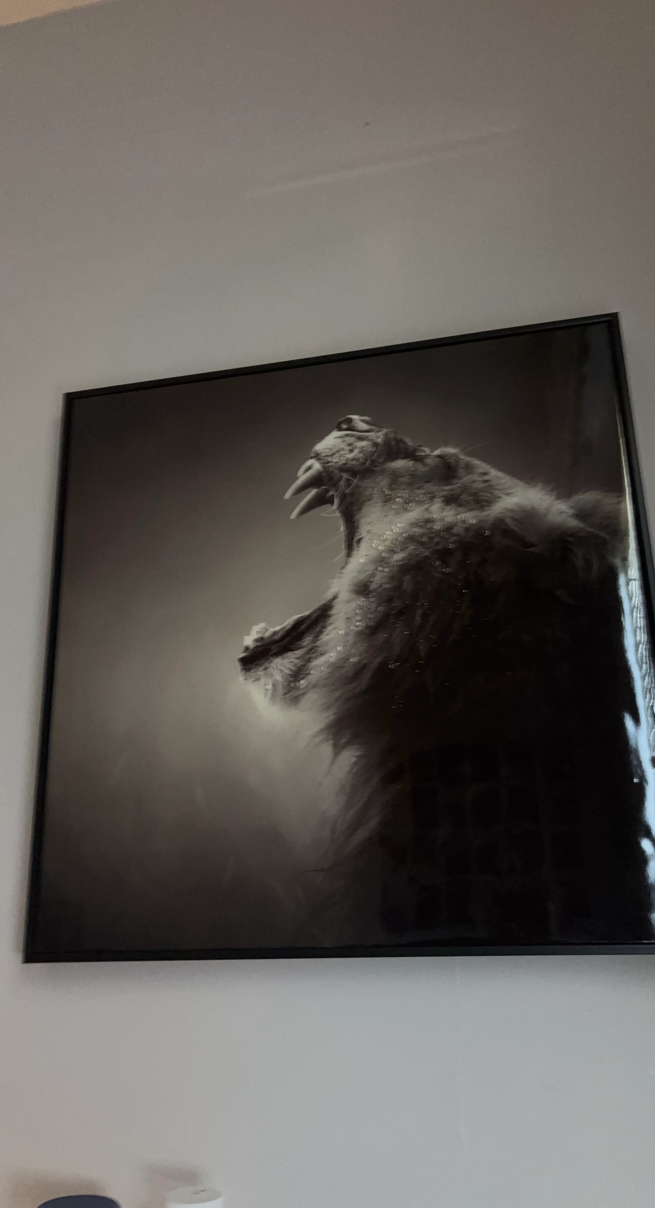 Black and White Lion Wall Art