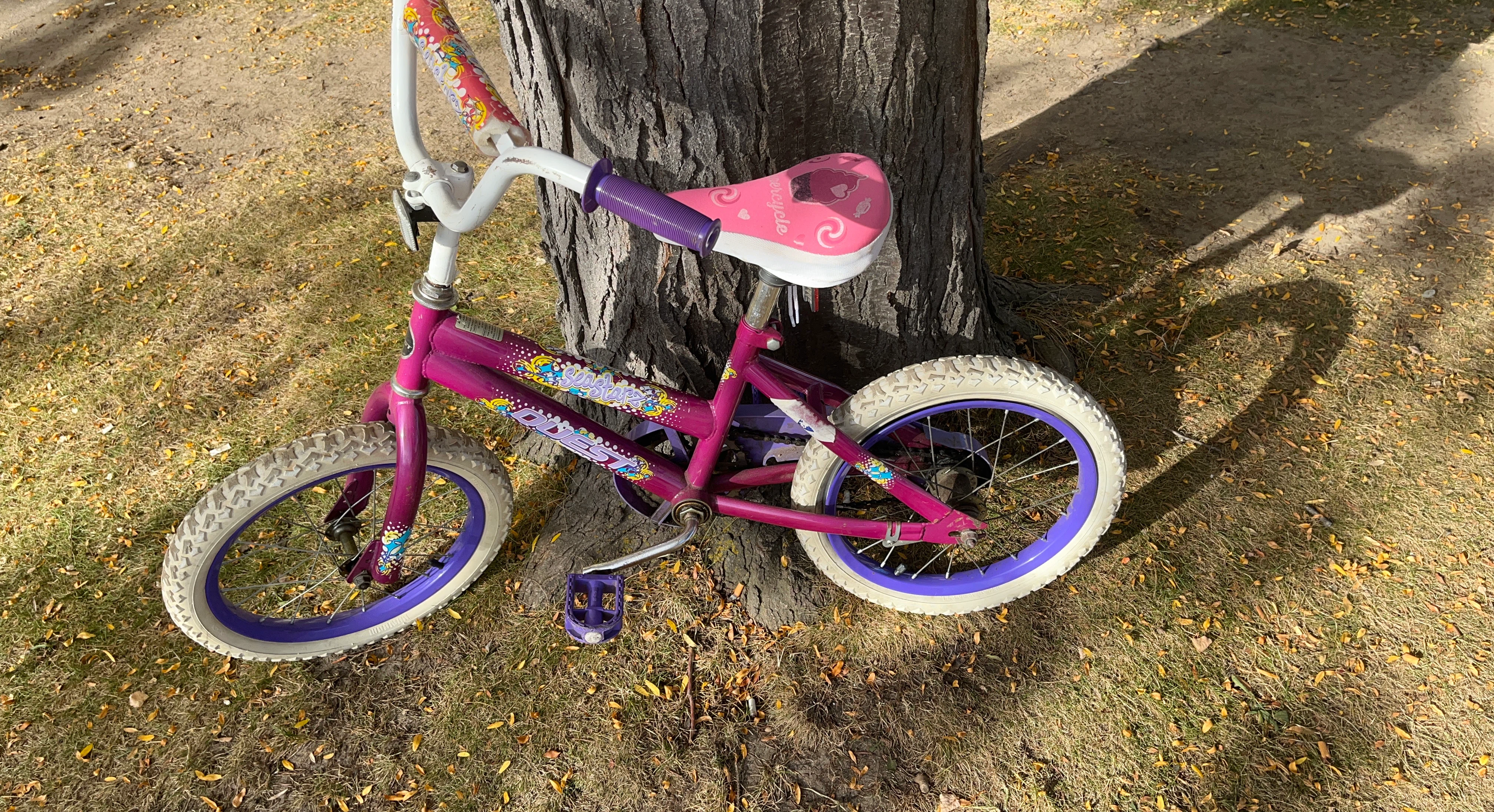 Quest Seastarz Kids Bicycle
