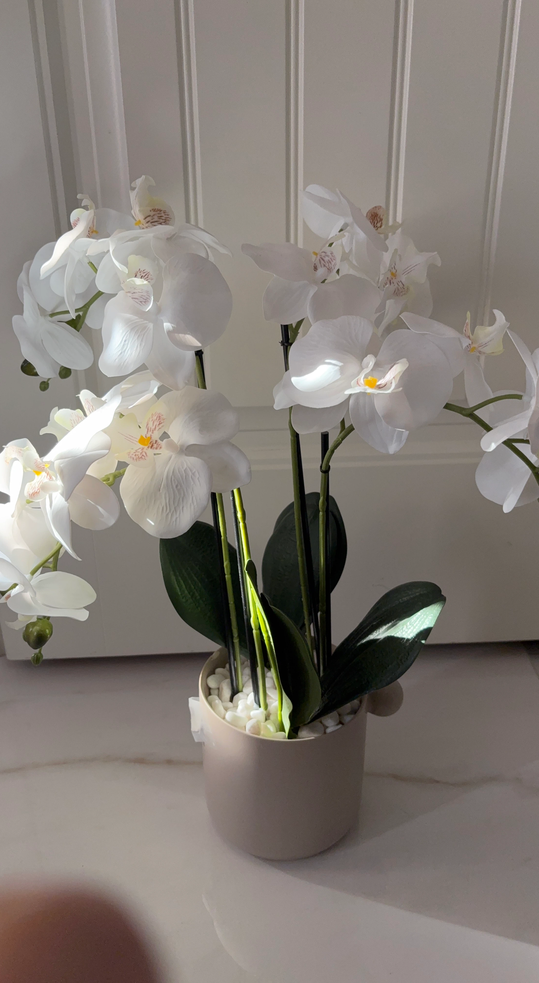 Artificial White Orchid in Pot