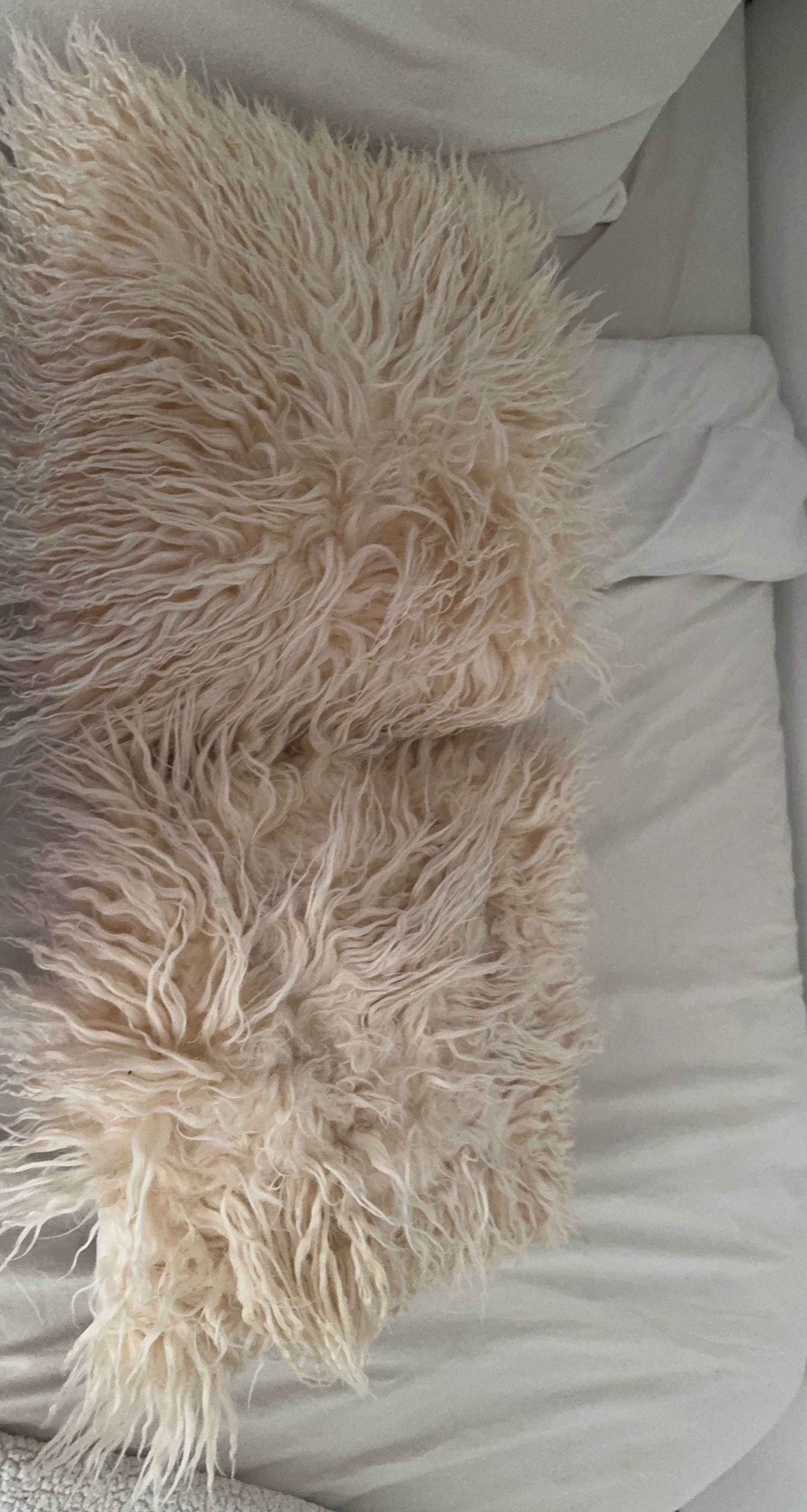 Two cream shaggy faux fur throw pillows