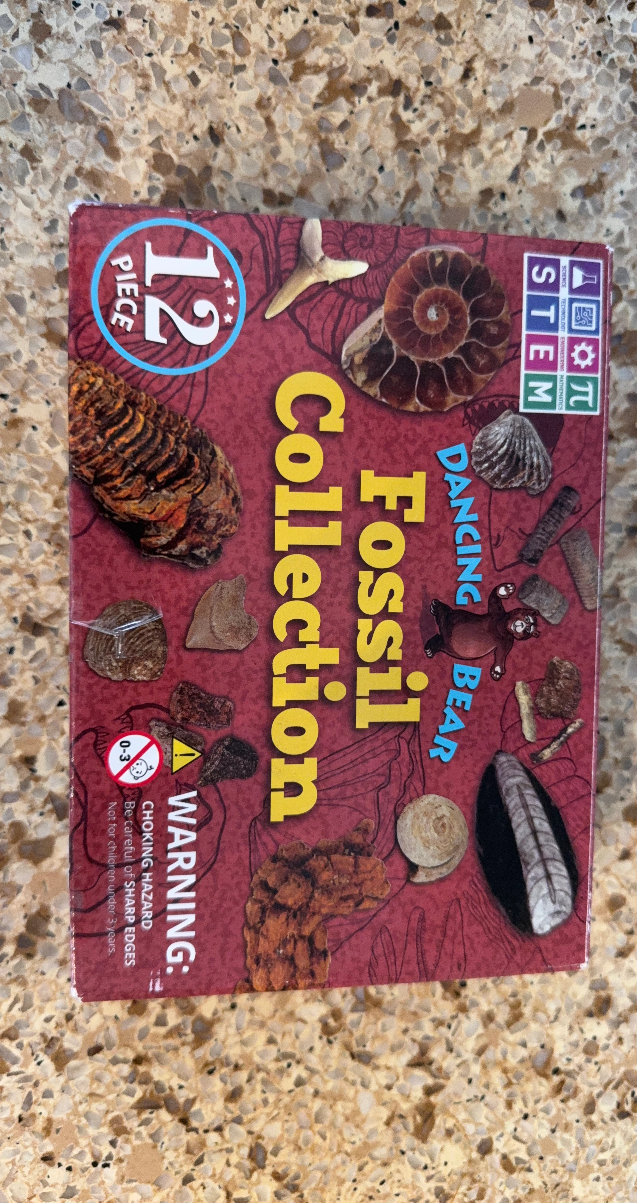 Dancing Bear 12 Piece Fossil Collection