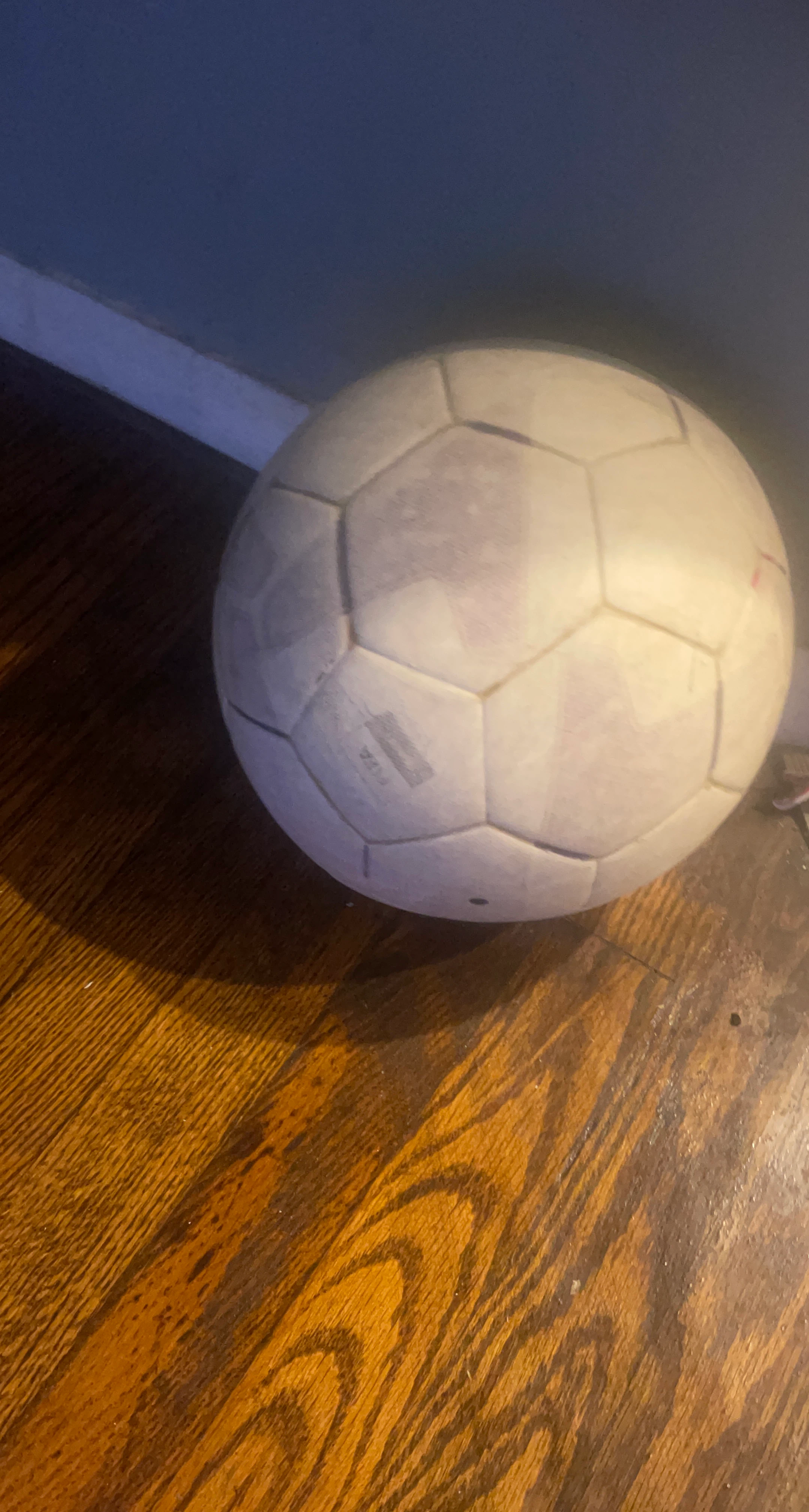 FIFA Soccer Ball White