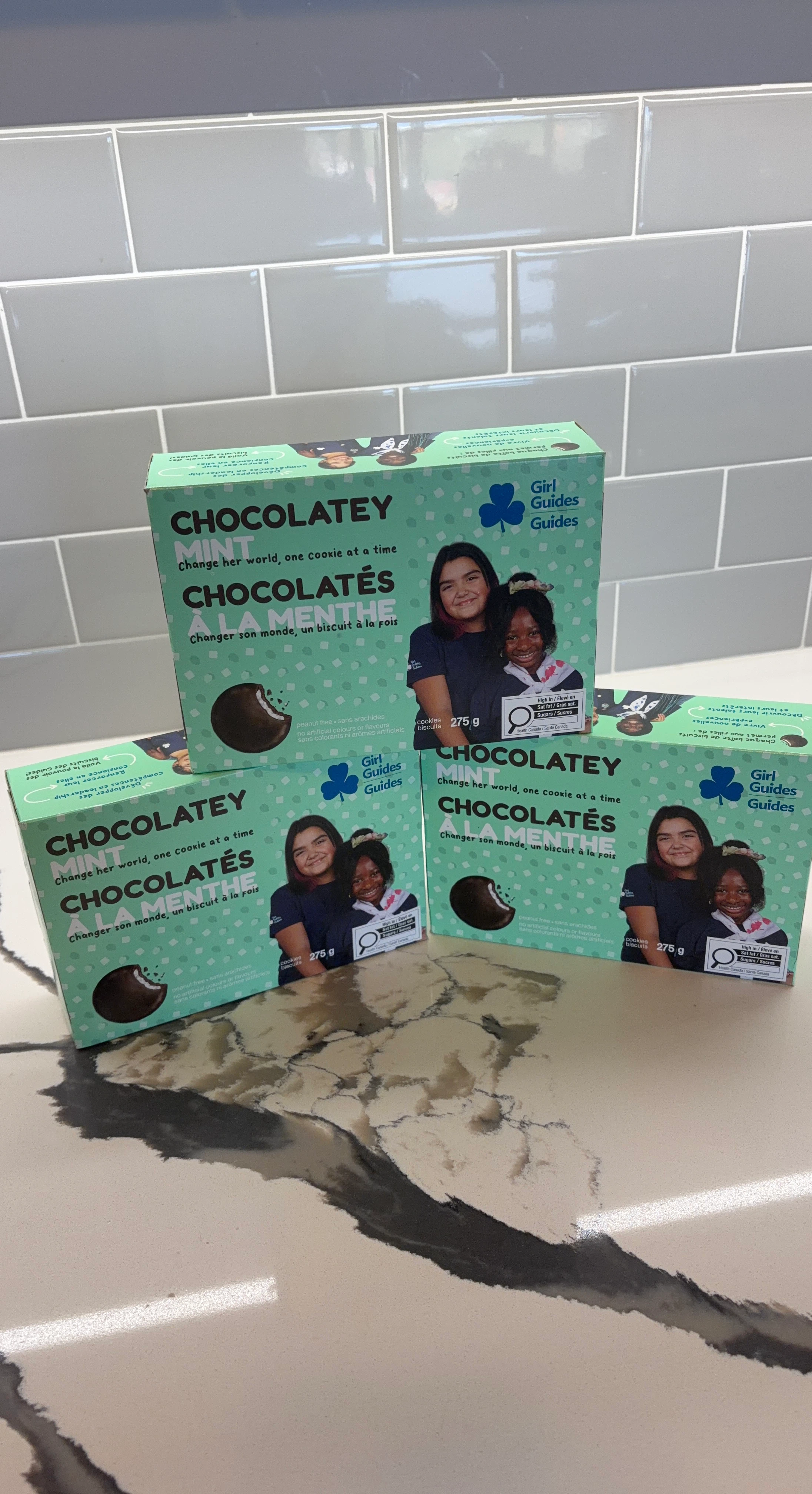 Girl Guides Chocolatey Mint Cookies