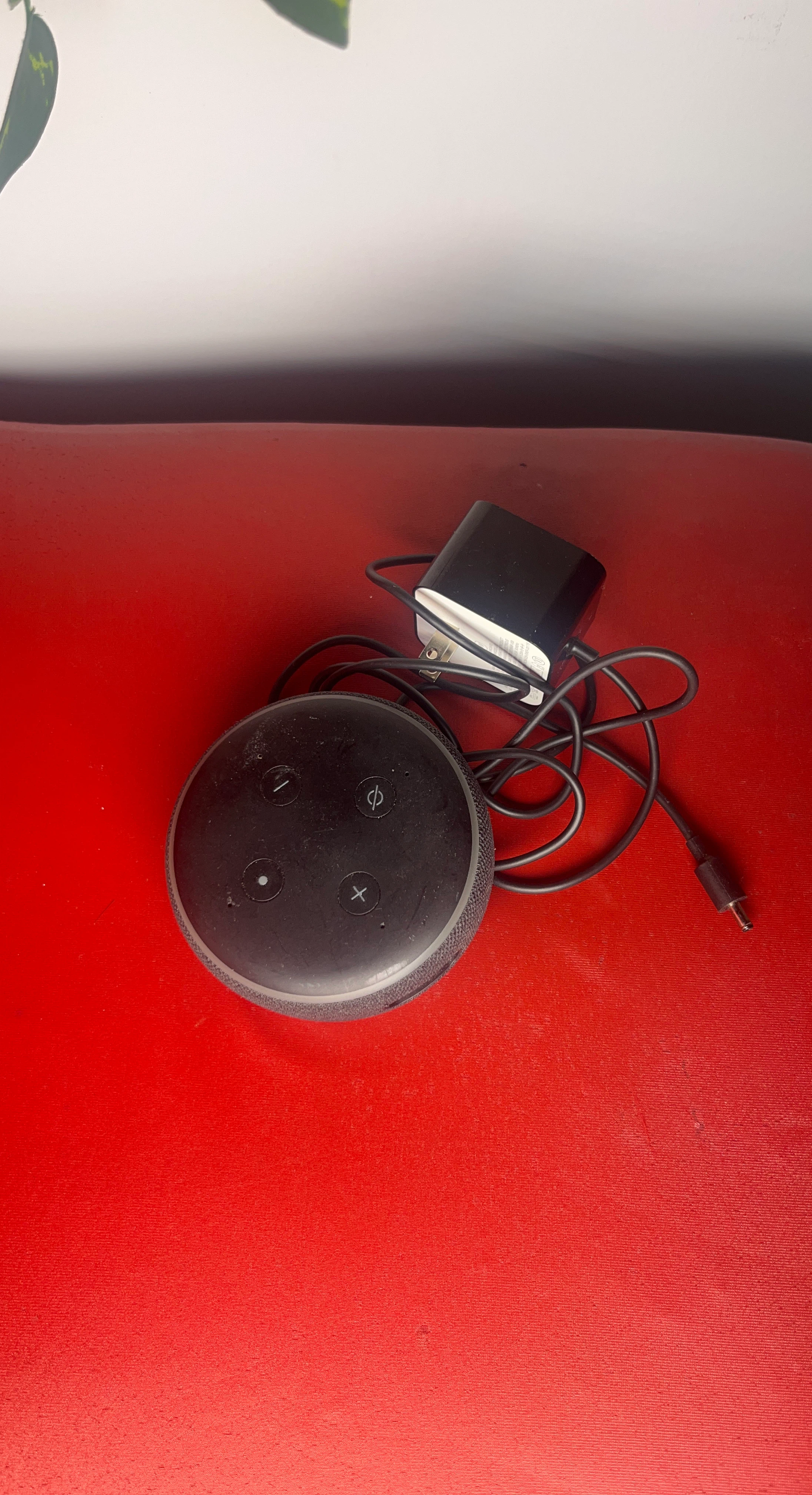 Amazon Echo Dot
