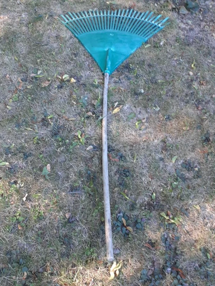 Green Leaf Rake