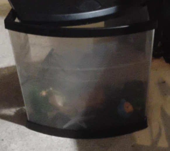 Top Fin Aquarium Tank