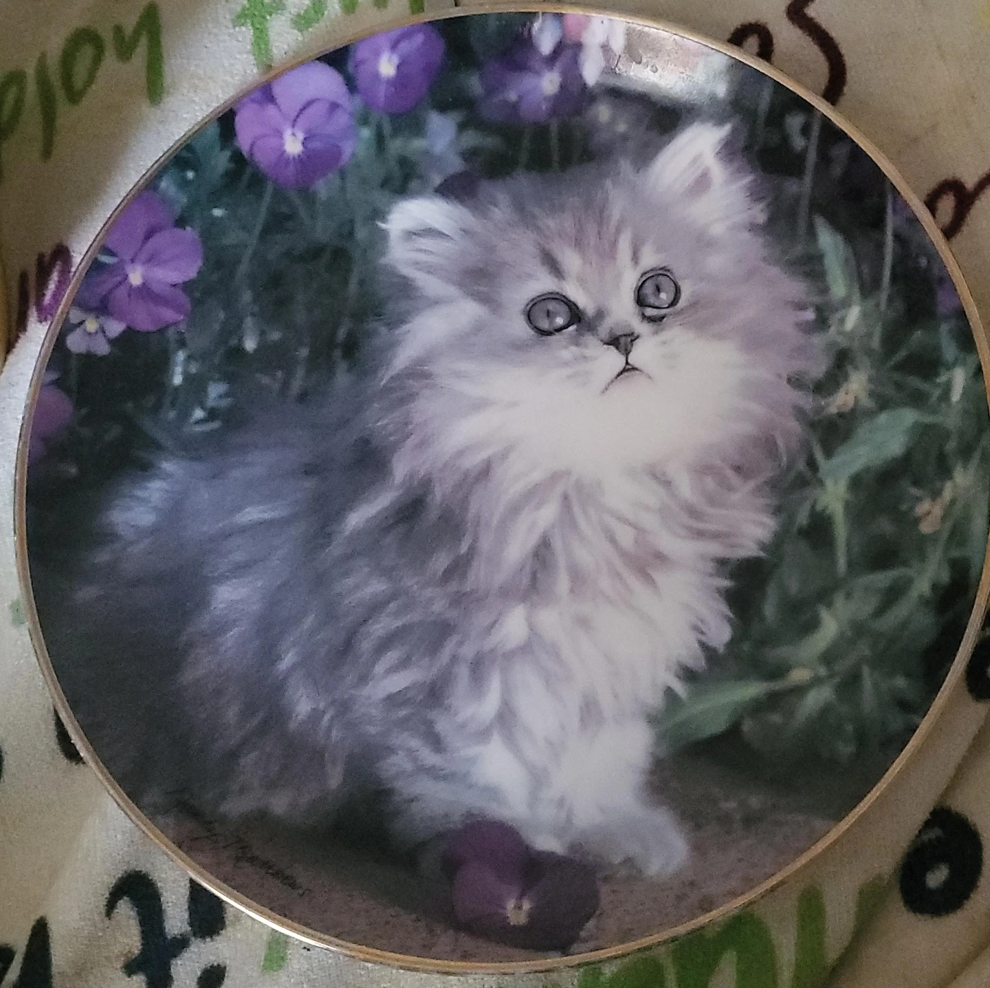 Decorative Kitten Collector Plate