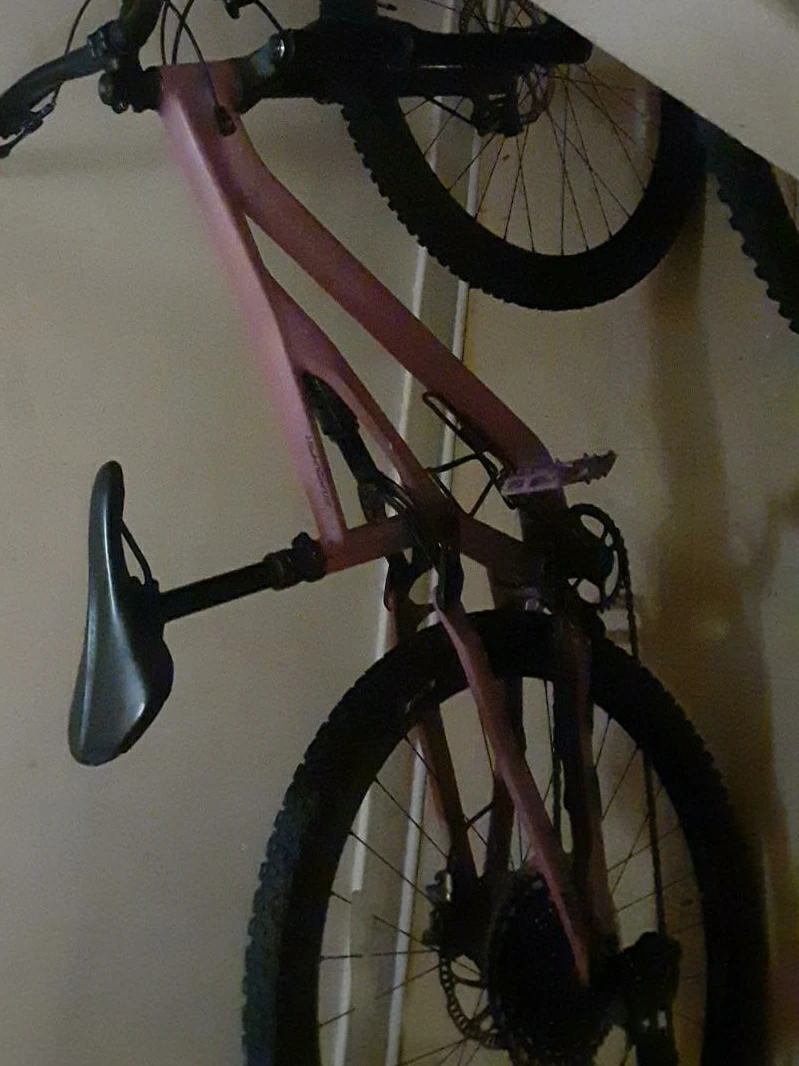 Specialized Stumpjumper FSR Mountain Bike - photo 5