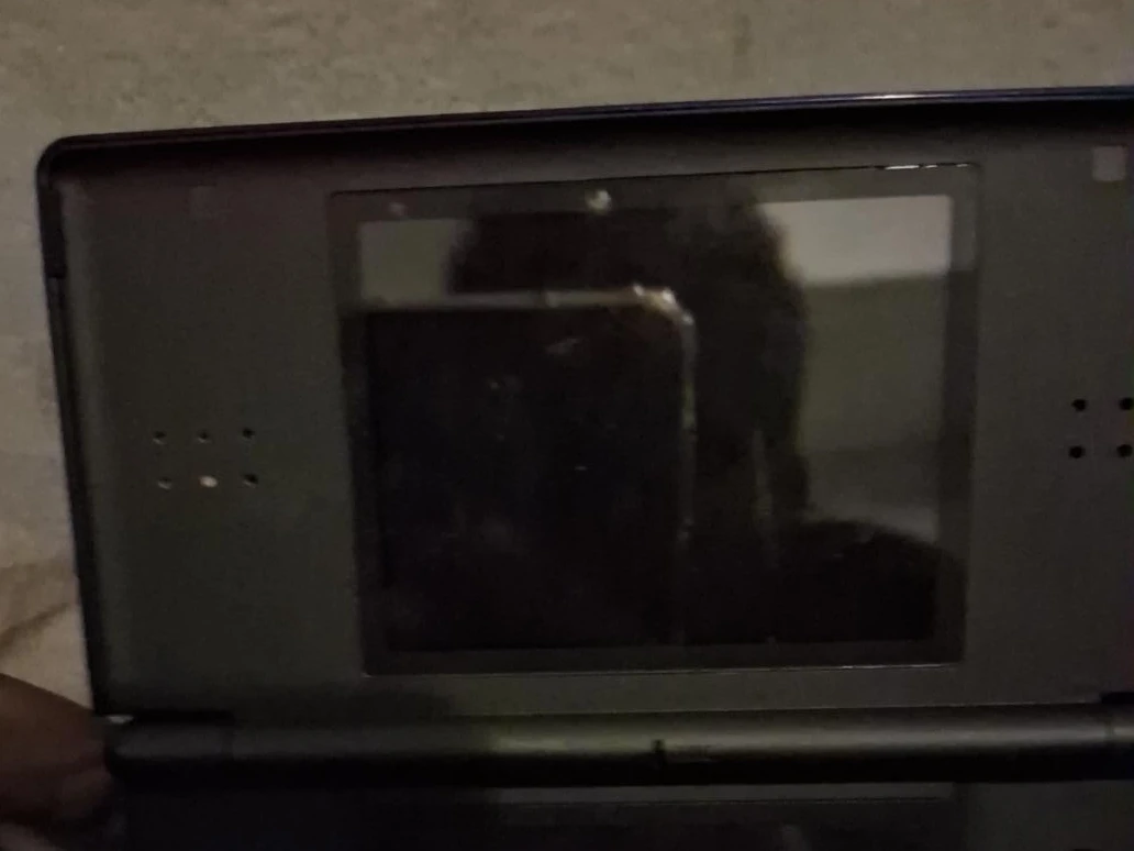Nintendo DSi handheld console