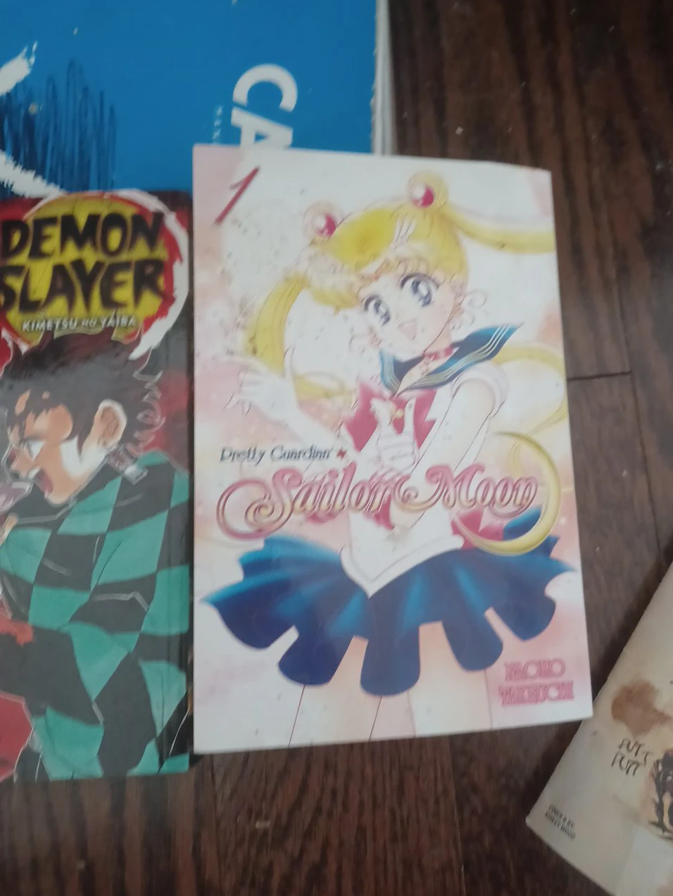 Pretty Guardian Sailor Moon Vol 1 Manga