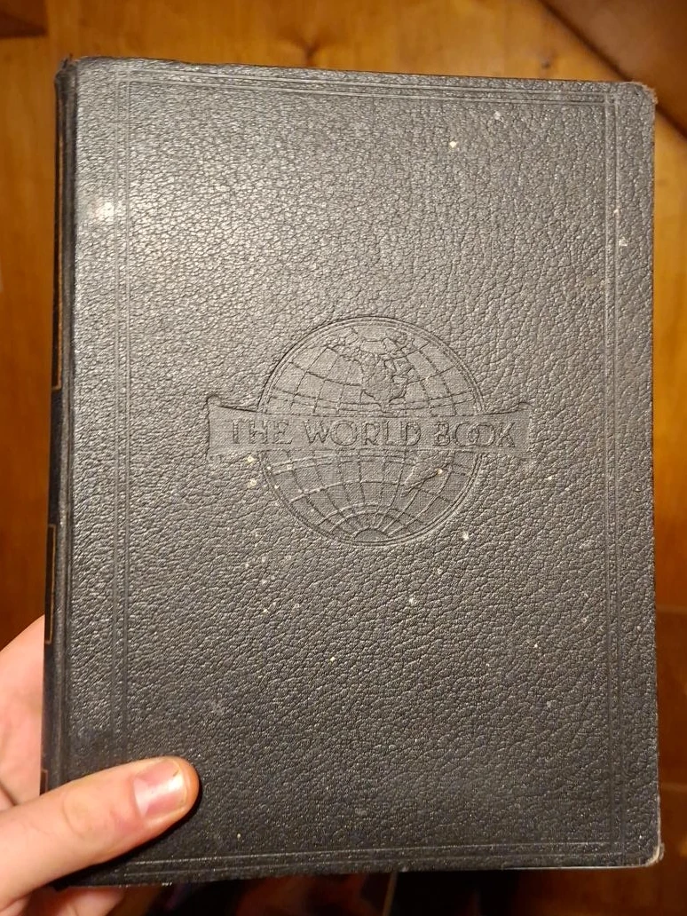 The World Book Loose Leaf Annual 12