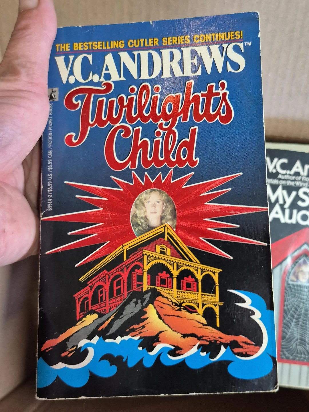 Twilight's Child by V.C. Andrews