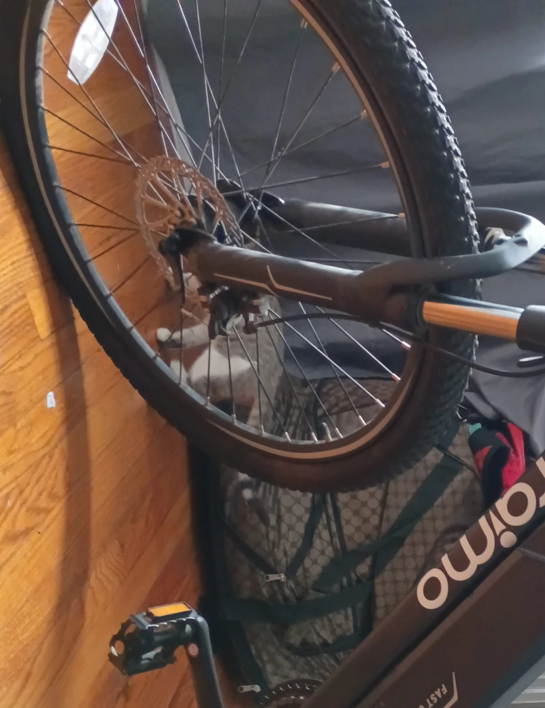 Raimo mountain bike