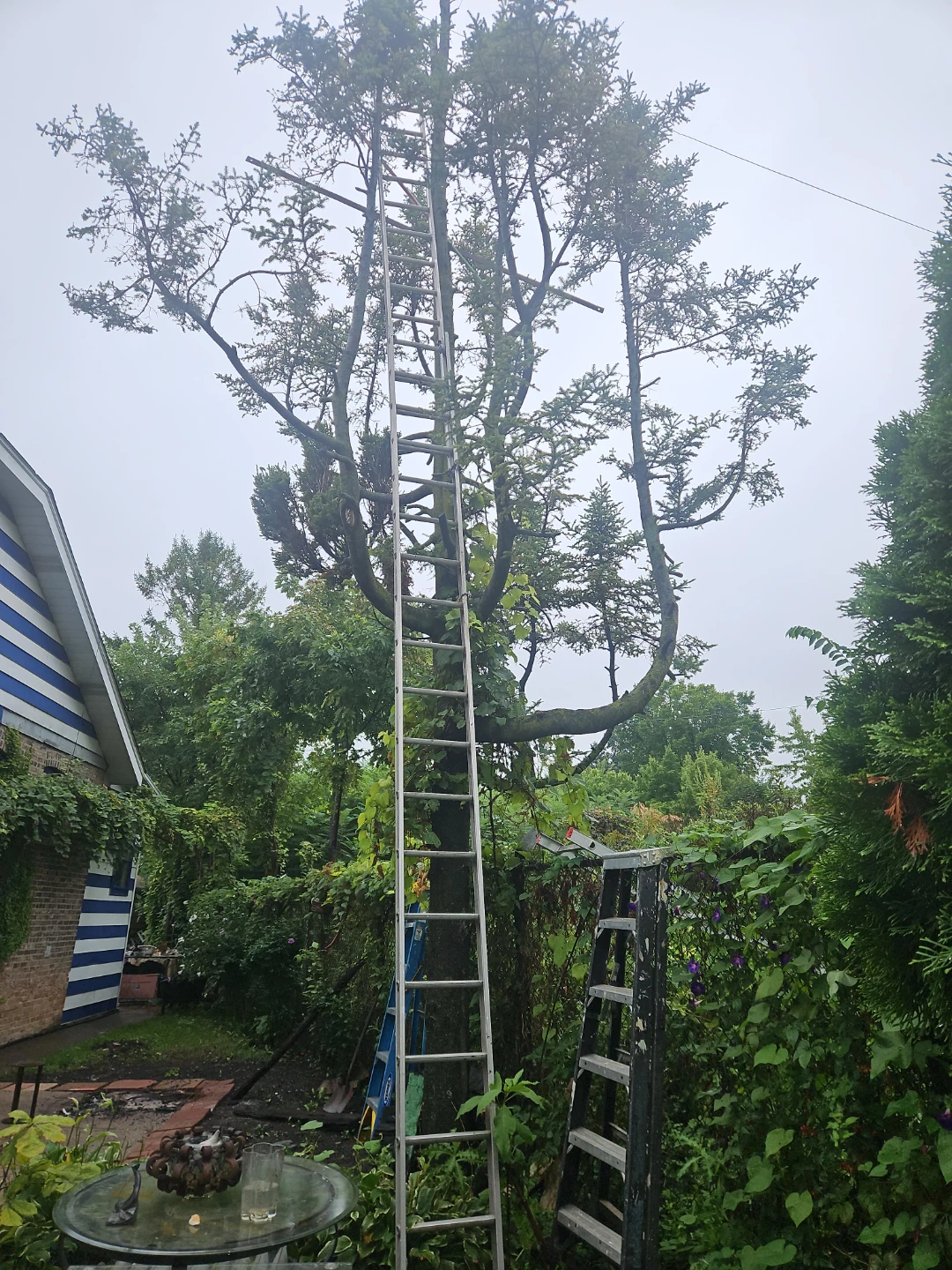 40 foot Metal extension ladder