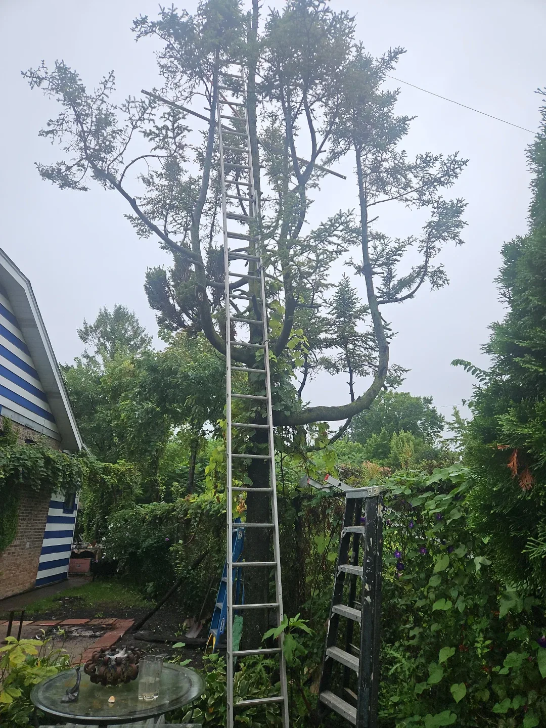 40 foot Metal extension ladder