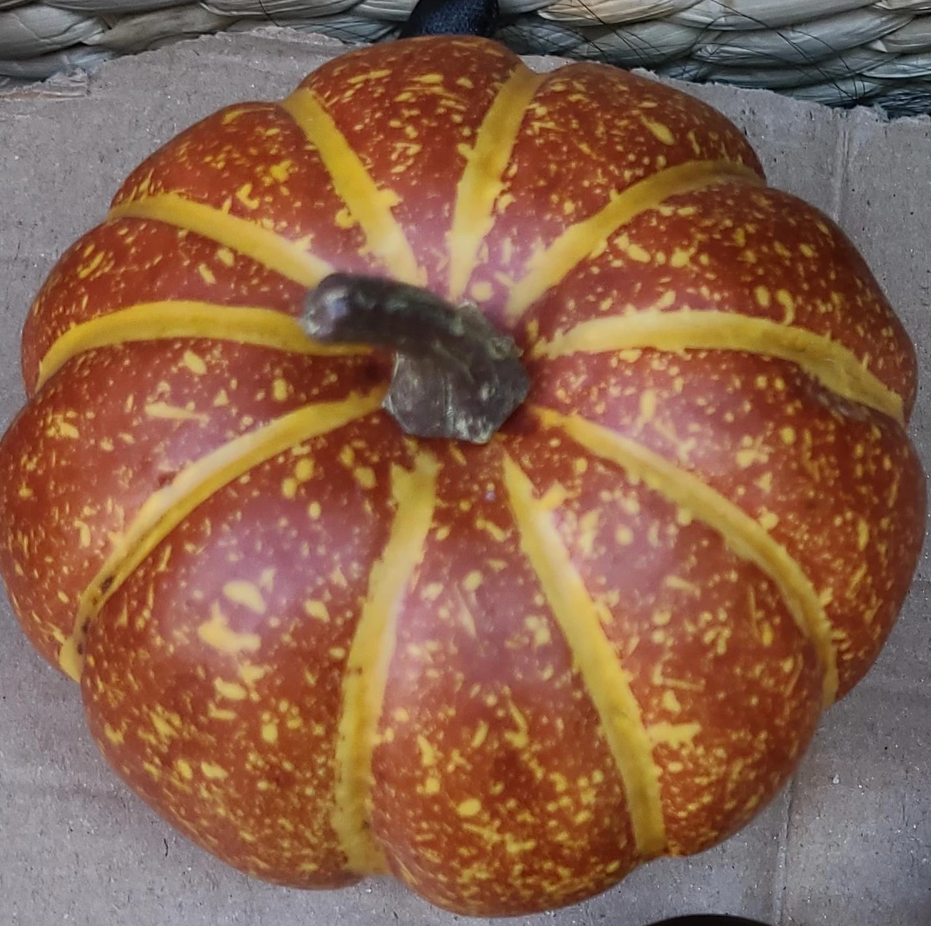 Decorative Faux Pumpkins and Acorn