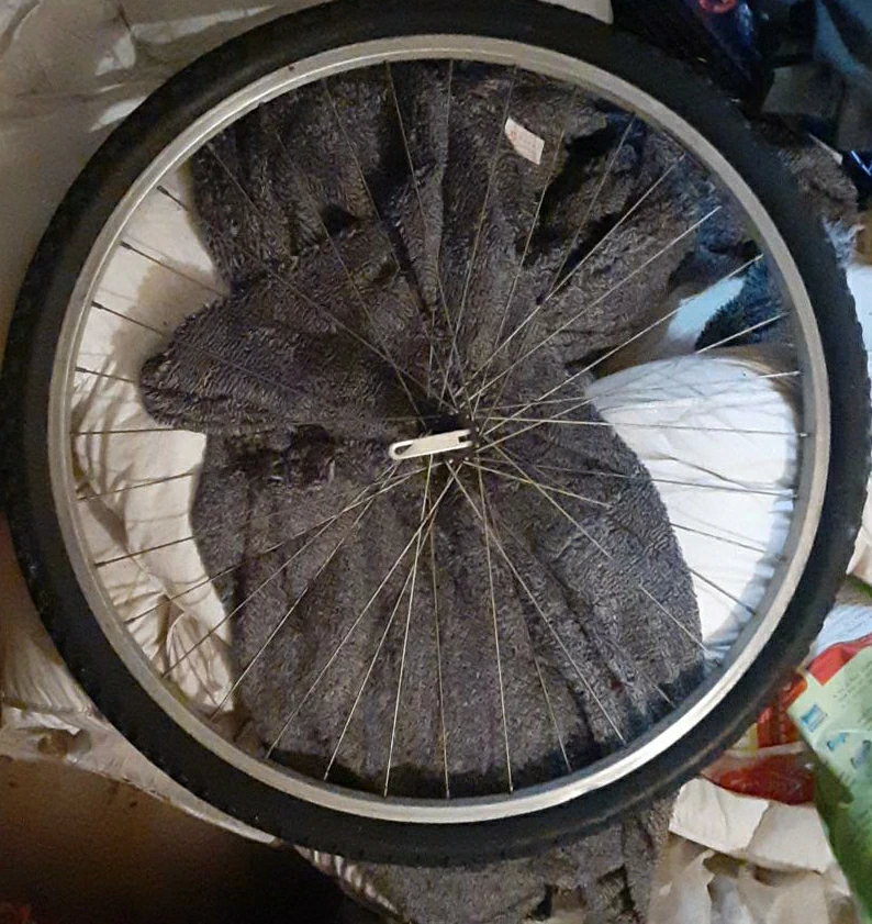 Bicycle Wheel with Tire