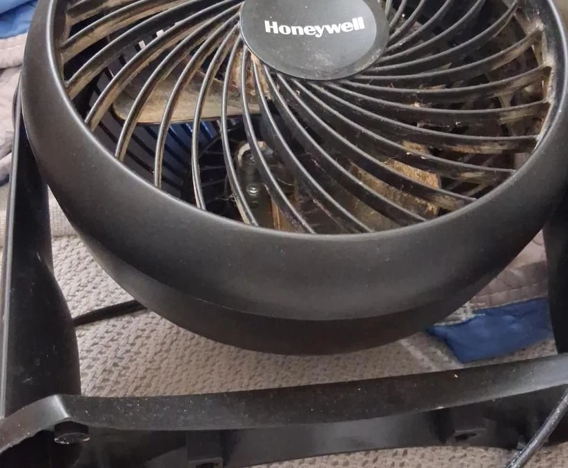 Honeywell Black Table Fan