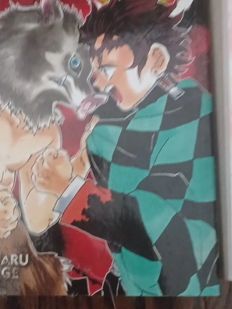 Demon Slayer: Kimetsu no Yaiba Manga Vol. 6