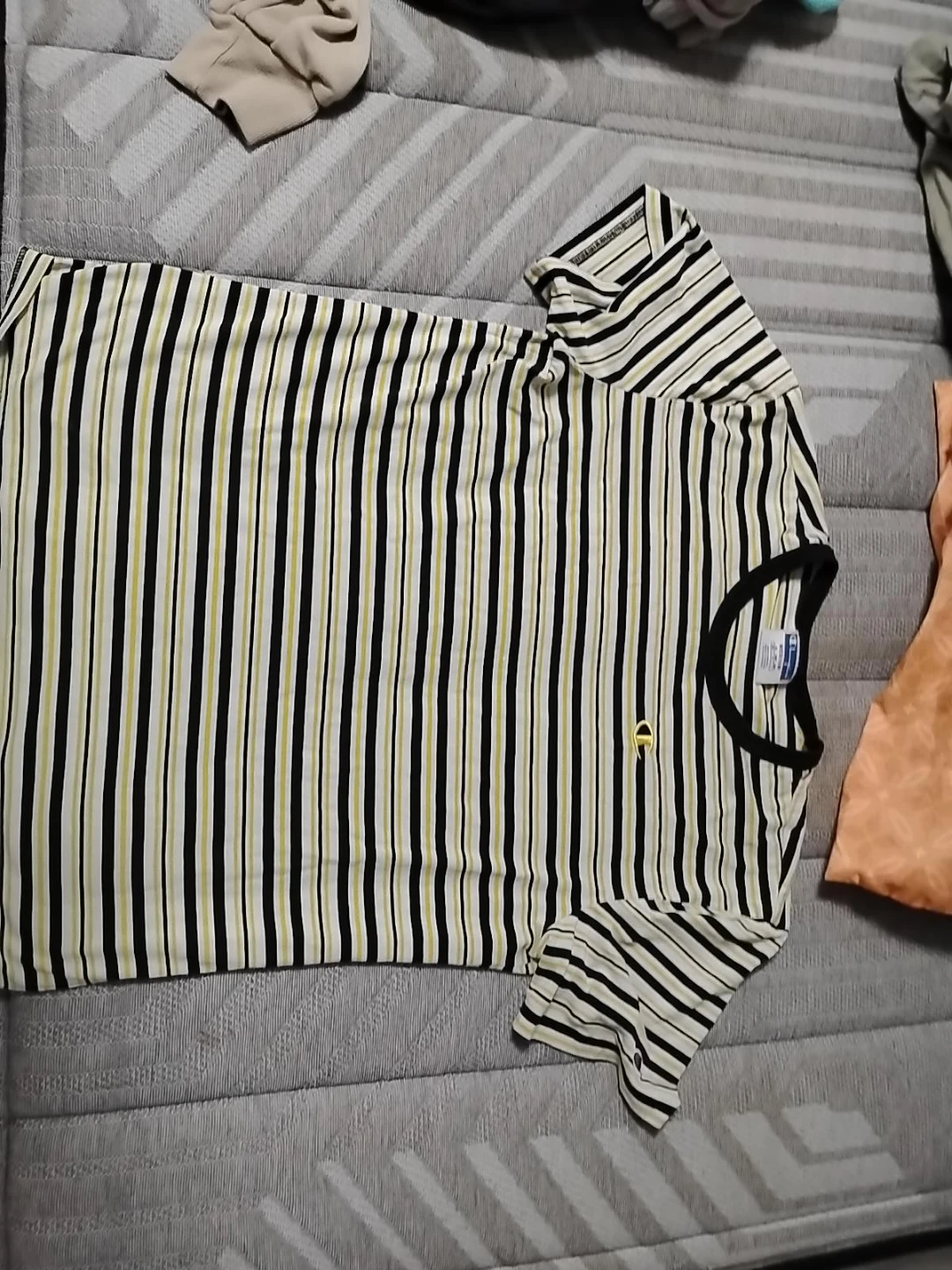 Champion Striped T-Shirt