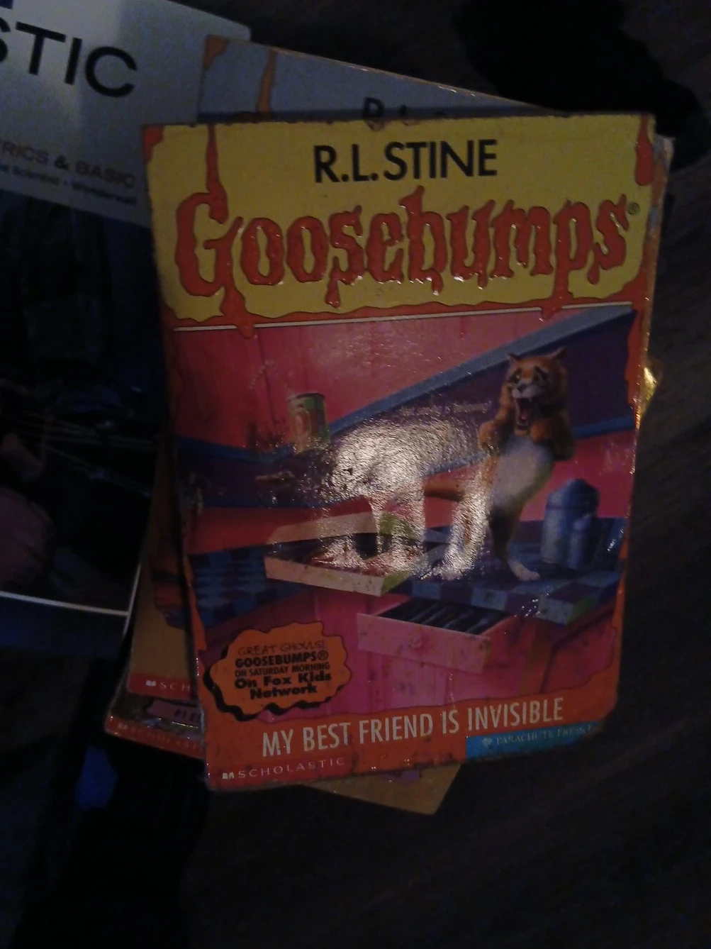 Goosebumps: My Best Friend is Invisible by R.L. Stine