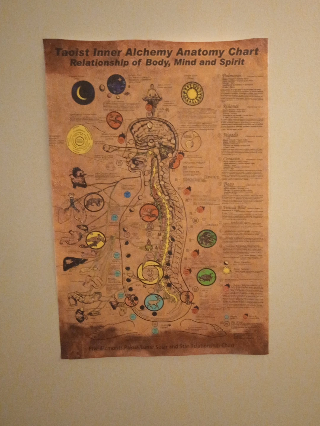 Taoist Inner Alchemy Anatomy Chart
