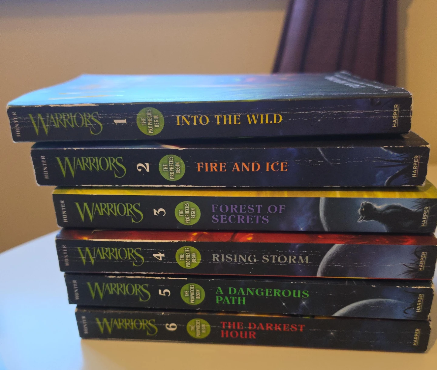 Warriors Cat The Prophecies Begin Books 1-6 - photo 3