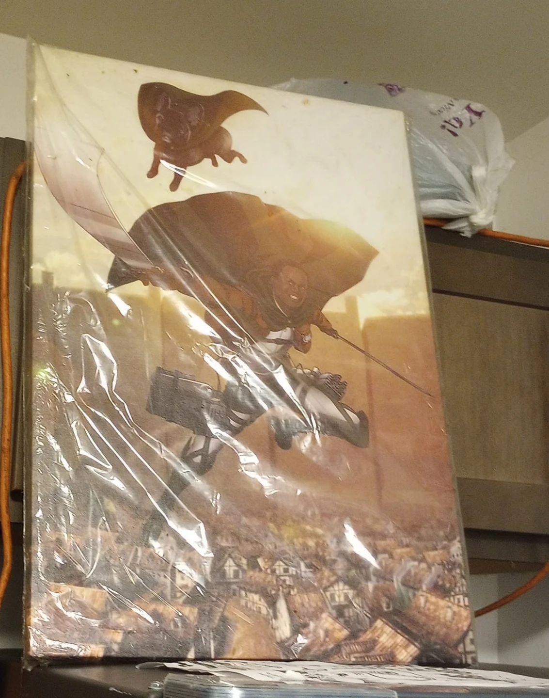 Attack on Titan Wall Art