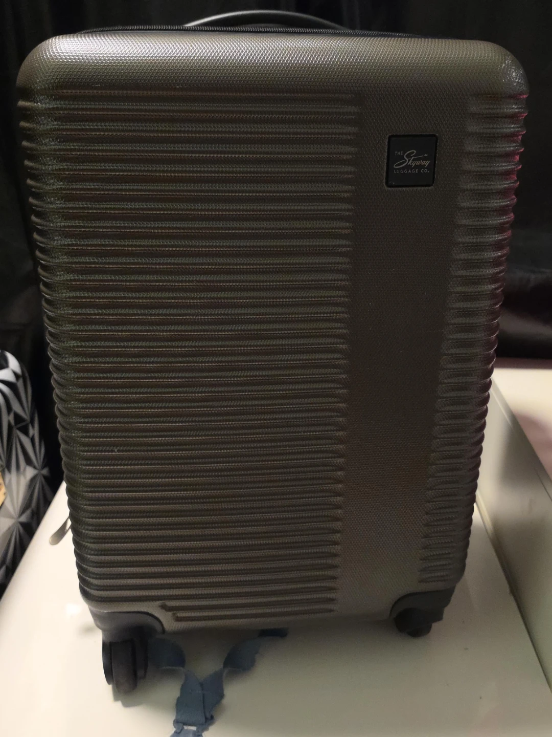Skyway Luggage Co. Carry-On Suitcase