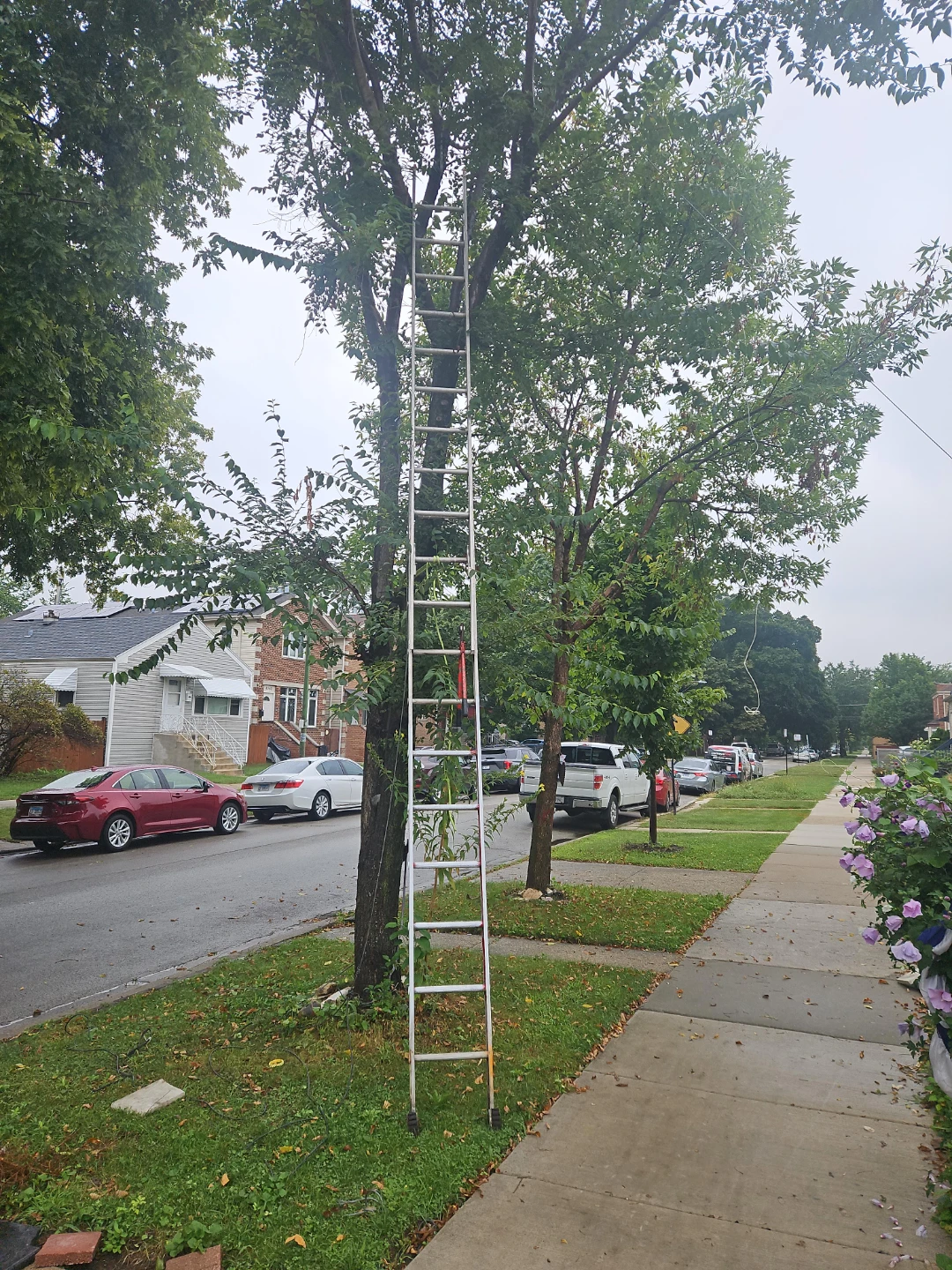 20 foot Aluminum Extension Ladder