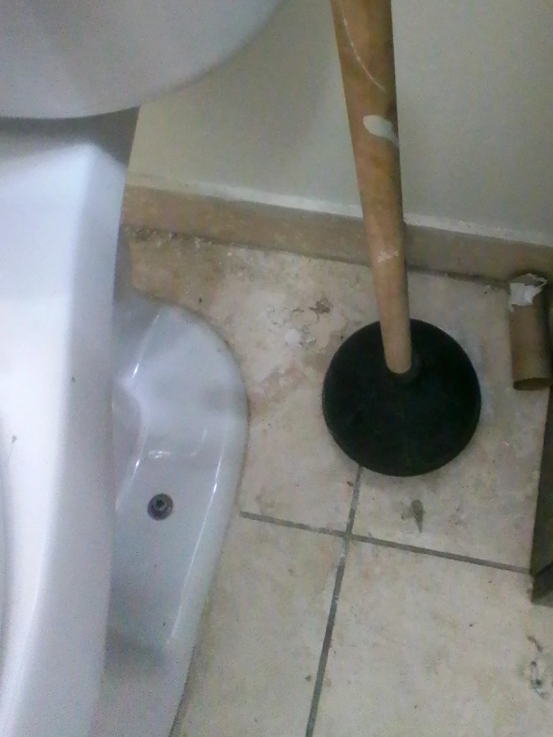 Toilet Plunger