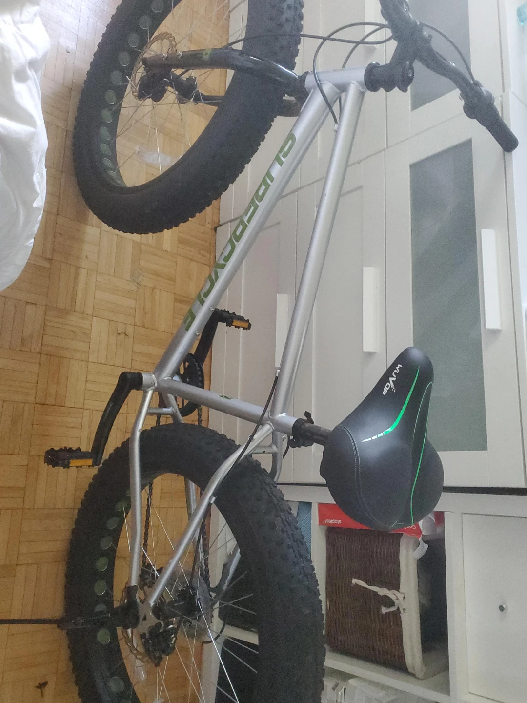 Supercycle Fat Bike Silver and Green