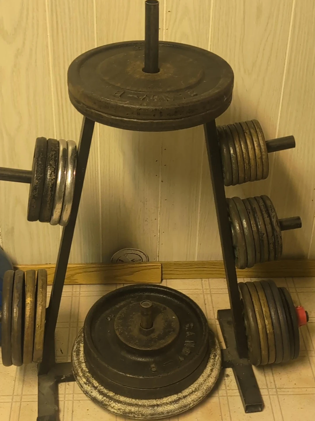 Sandy-B weight plate set with A-frame rack