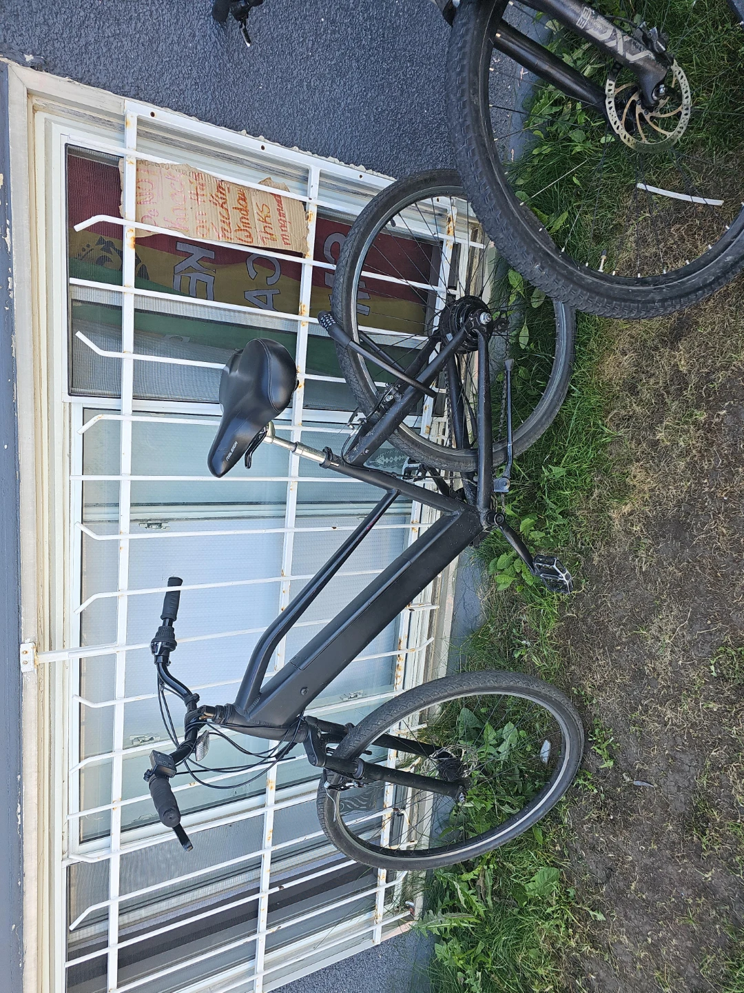 Raleigh Electric Bicycle