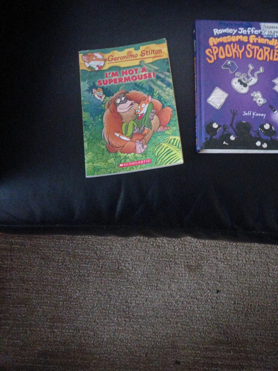 Geronimo Stilton I'm Not a Supermouse! book