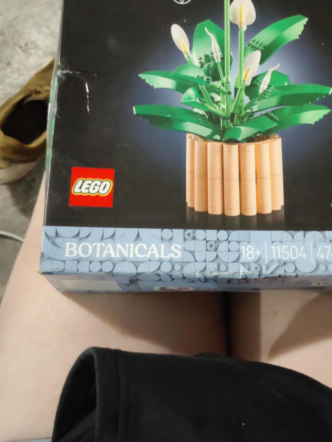 LEGO Botanicals 10313 Wildflower Bouquet