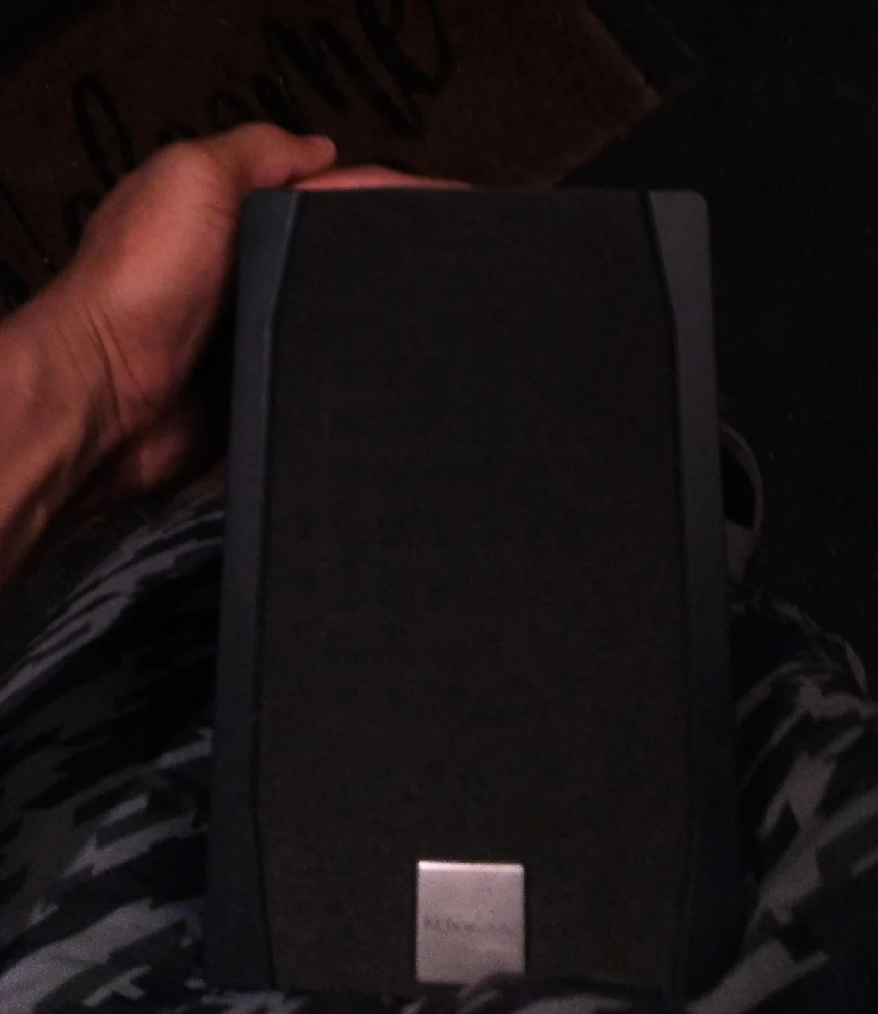 Kenwood Speaker