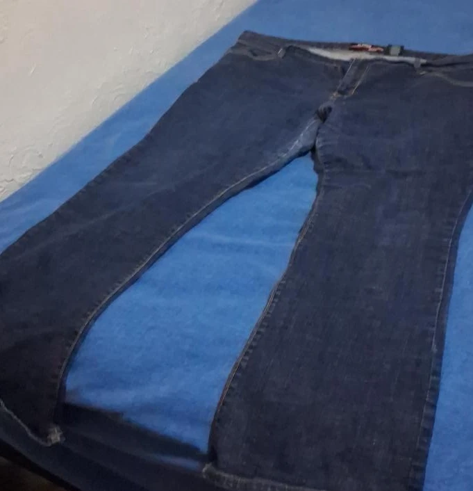 Lane Bryant Dark Wash Denim Jeans