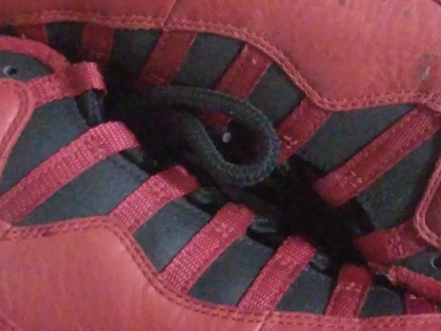 Air Jordan 10 Retro Sneakers