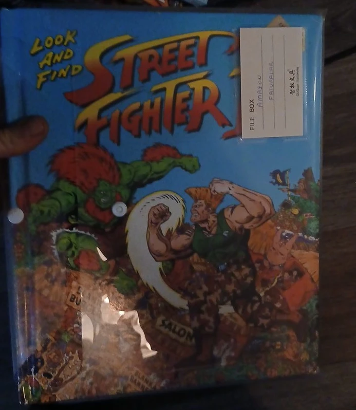 Street Fighter Look and Find File Box