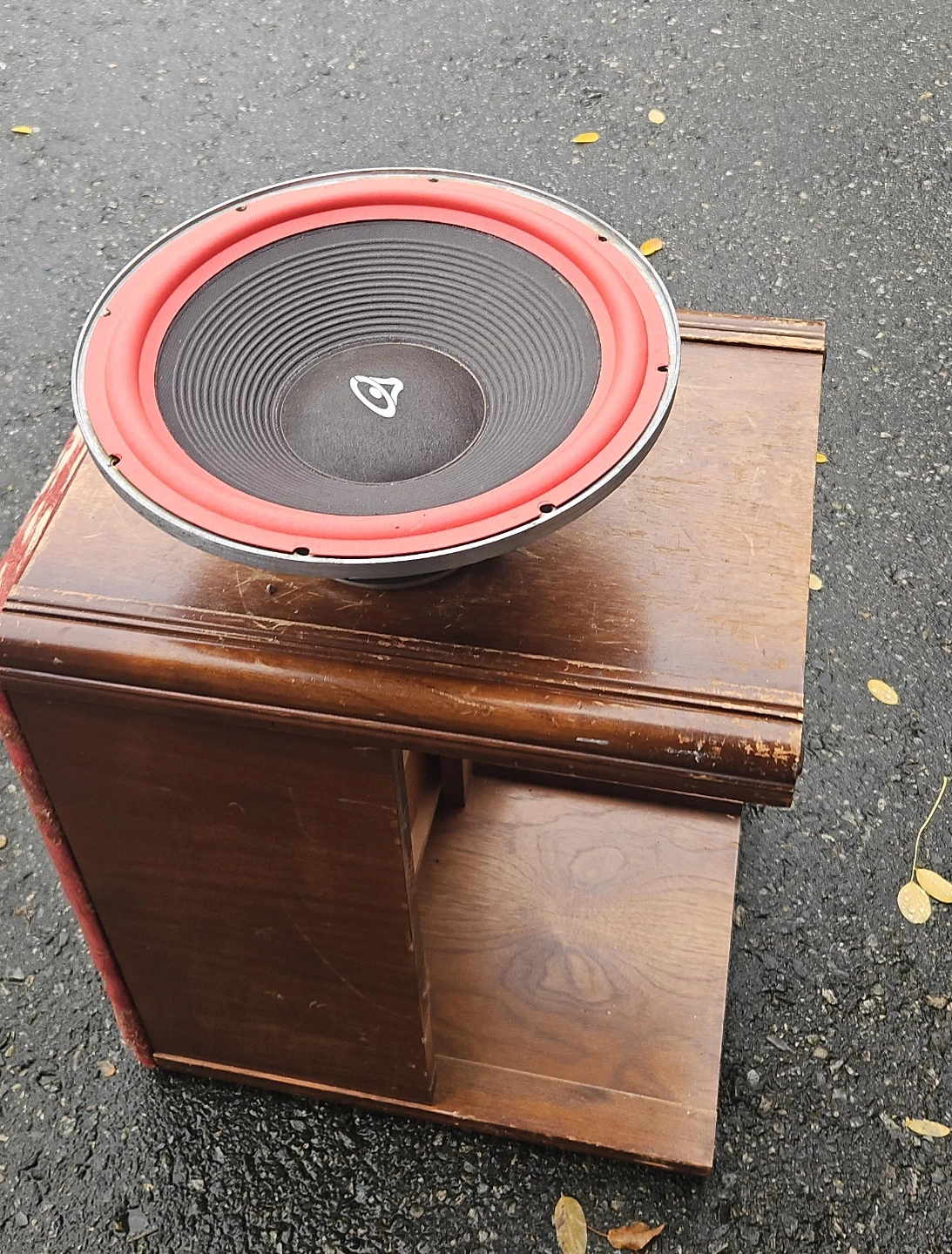 Cerwin Vega Speaker