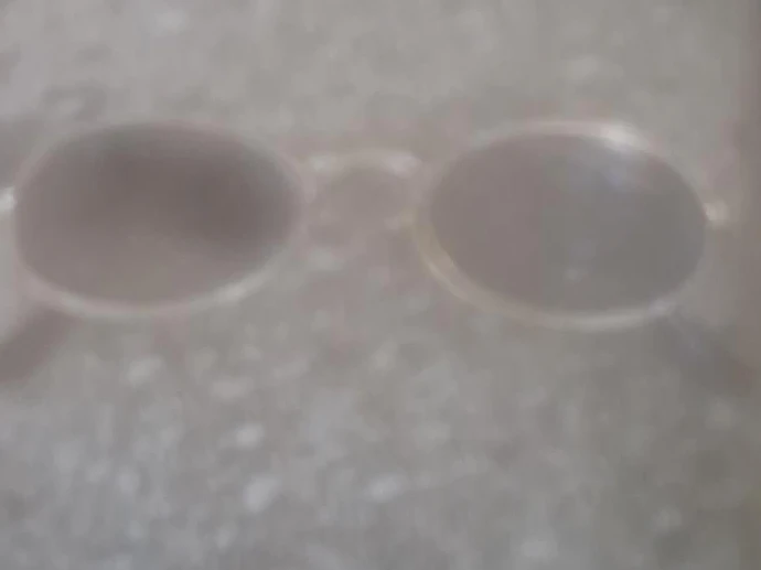 Oval Sunglasses with Carrying Case