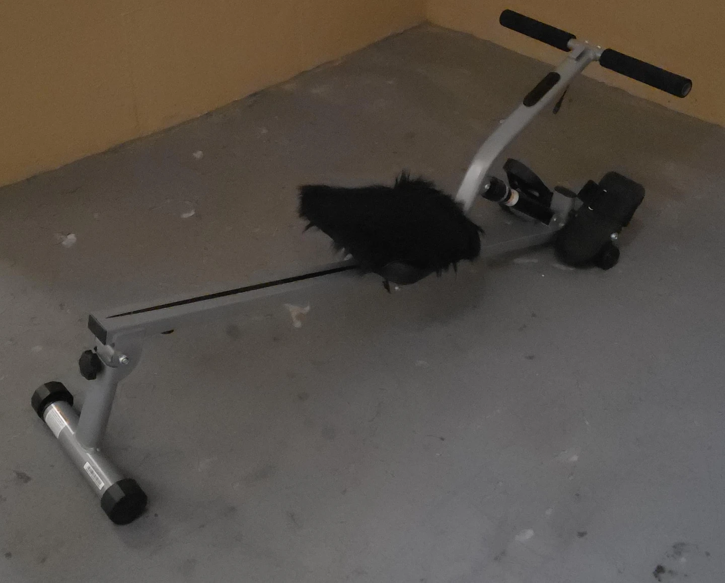 Compact Rowing Machine